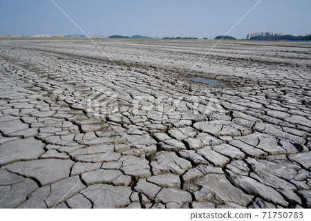 The cracked ground 71750783