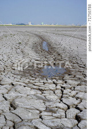 The cracked ground The cracked ground 71750788