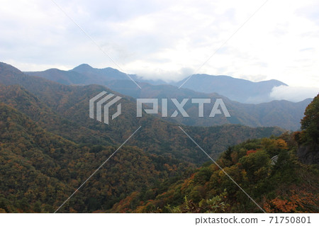 山梨的秋葉 71750801