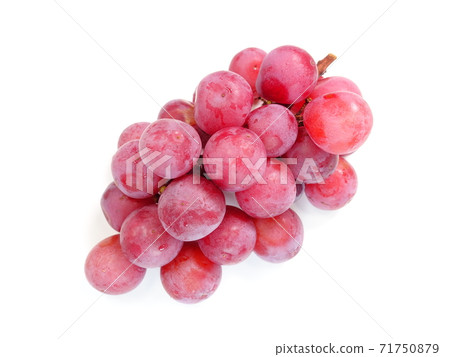 Grape Grape Queen Nina 71750879