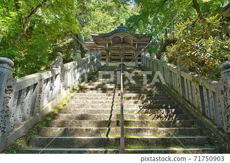 【須鄉山大覺院大寶寺】(四國靈場第44號复田所)愛媛縣上浮穴郡熊高原町須鄉 【須鄉山大覺院大寶寺】(四國靈場第44號复田所)愛媛縣上浮穴郡熊高原町須鄉 71750903
