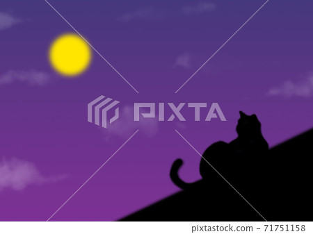Cat on the roof Cat on the roof 71751158