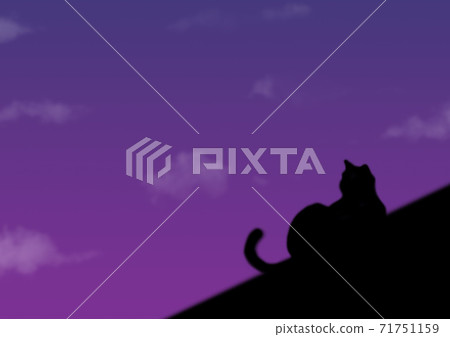 Cat on the roof Cat on the roof 71751159