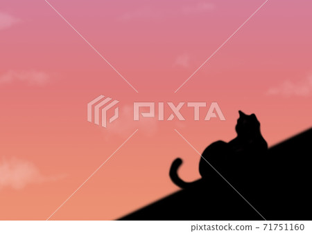 Cat on the roof Cat on the roof 71751160
