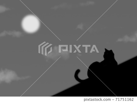 Cat on the roof Cat on the roof 71751162