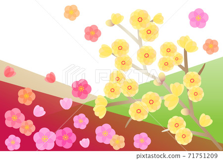 蠟梅和梅花的矢量圖 71751209