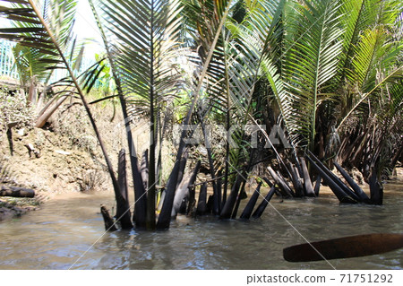 Mekong River Cruise 71751292