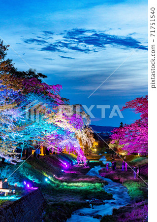 觀音寺川夜櫻花照明製作 觀音寺川夜櫻花照明製作 71751540