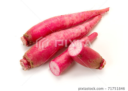 明日香茜羽芽 71751846