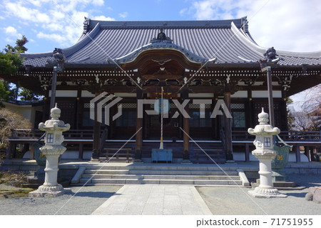 Honkaderaji 71751955