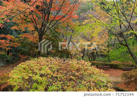 有馬溫泉瑞鳳寺市立公園紅葉 71752144