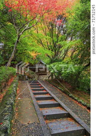 有馬溫泉瑞鳳寺市立公園紅葉 71752145