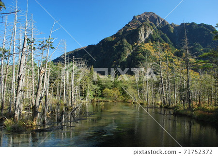 Stunning coloring of autumn leaves and Dakesawa in Kamikochi Stunning coloring of autumn leaves and Dakesawa in Kamikochi 71752372