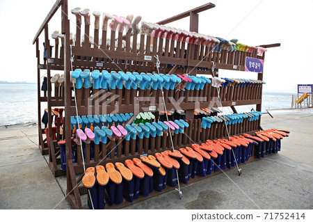 Rainboots Rainboots 71752414