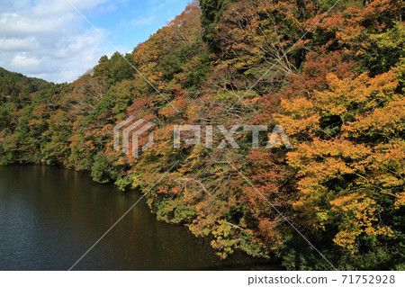 龜山湖（君津市） 71752928
