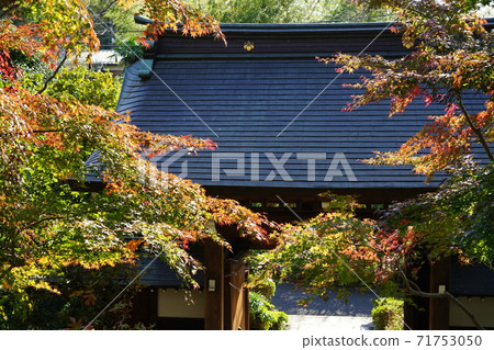 Autumn leaves of Kozoji Temple in Machida City Autumn leaves of Kozoji Temple in Machida City 71753050