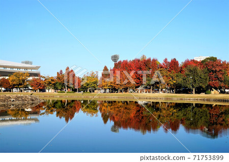 岡山秋葉綜合運動公園 71753899