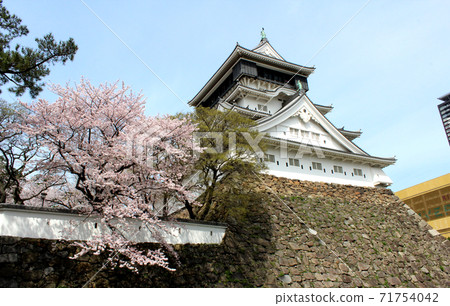 Spring Kitakyushu, Kokura Castle ① Spring Kitakyushu, Kokura Castle ① 71754042