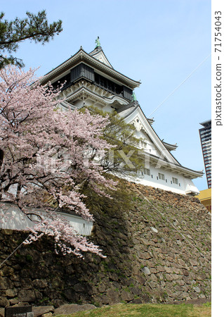 Spring Kitakyushu, Kokura Castle ② Spring Kitakyushu, Kokura Castle ② 71754043