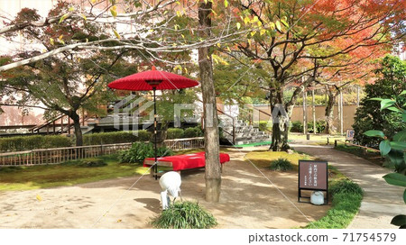Koyuki Art Museum Koyuki Art Museum 71754579
