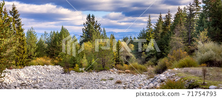 Autumn panorama banner with forest trees Autumn panorama banner with forest trees 71754793