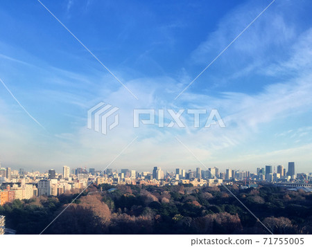Tokyo and the sky Tokyo and the sky 71755005