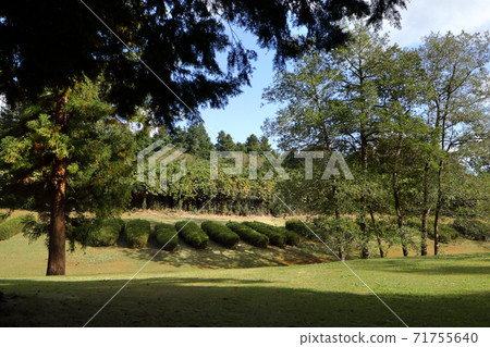 浪漫茨城縣（這是6世紀下半葉至7世紀日本最大的h花生產地。）茨城町小ata市 71755640