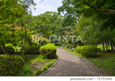 [Machida City] A walking path in Serigaya Park 71755840