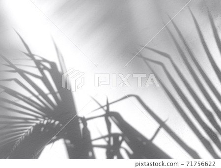 Minimal summer travel concept with palm tree leaf Minimal summer travel concept with palm tree leaf 71756622