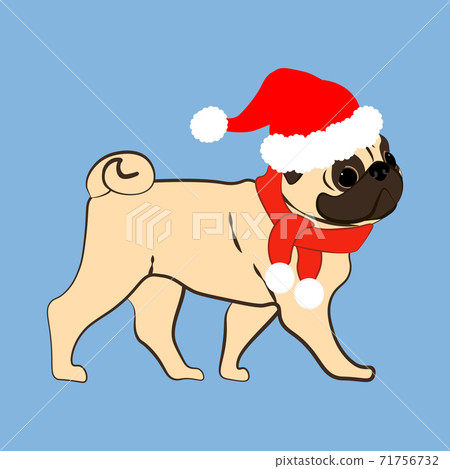 Pug dog in christmas costume vector illustration Pug dog in christmas costume vector illustration 71756732