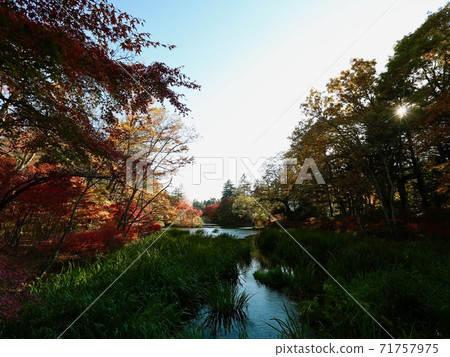 雲彩噴泉池塘在秋天 71757975