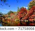 Cloud fountain pond in autumn 71758008