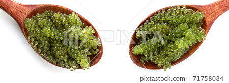 Spoon of Sea grapes or green caviar (Caulerpa lentillifera) Seaweed isolated on white background. Top view Spoon of Sea grapes or green caviar (Caulerpa lentillifera) Seaweed isolated on white background. Top view 71758084