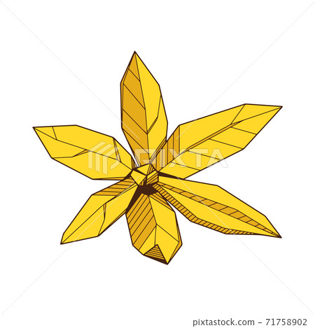Colored hand drawind geometrical blossoming flower, Ylang-Ilang line art 71758902