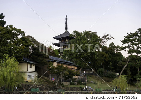 奈良縣奈良市高福寺五層塔 71759562
