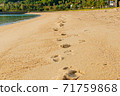 沙灘上留下的足跡 71759868