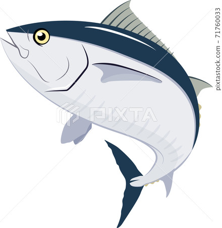 Tuna illustration # 02 - Stock Illustration [71760033] - PIXTA