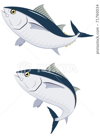 Tuna illustration set # 01 - Stock Illustration [71760034] - PIXTA