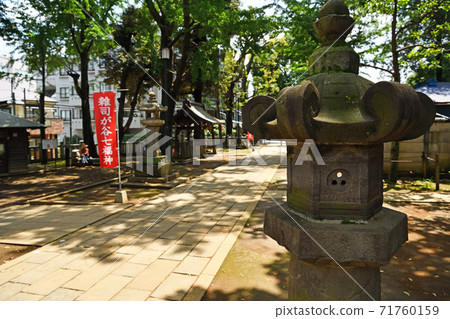 城市景觀：豐島區象牙谷 71760159