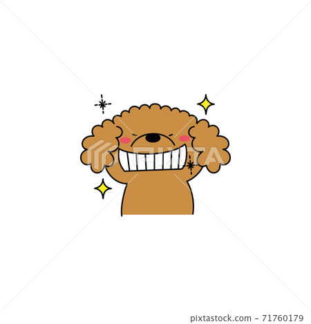 Poodle with glittering teeth Poodle with glittering teeth 71760179