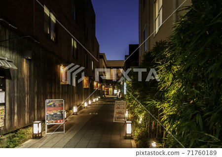 Alley near Kintetsu Nara Station, Nara City, Nara Prefecture 71760189