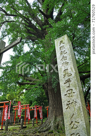Cityscape Zoshigaya, Toshima-ku 71760529