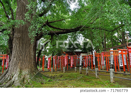 Cityscape Zoshigaya, Toshima-ku 71760779