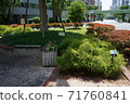 Intersection and green 71760841