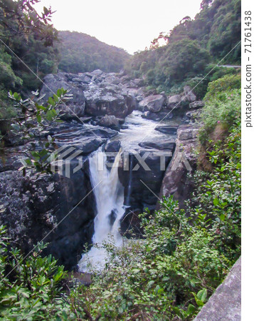 Green natural habitat at Tsiribihina river in Madagascar 71761438