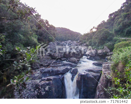 Green natural habitat at Tsiribihina river in Madagascar Green natural habitat at Tsiribihina river in Madagascar 71761442