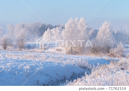 Hoarfrost weather at winter. Snowy trees on frozen meadow. Frost and snow in scenic winter nature landscape 71762319