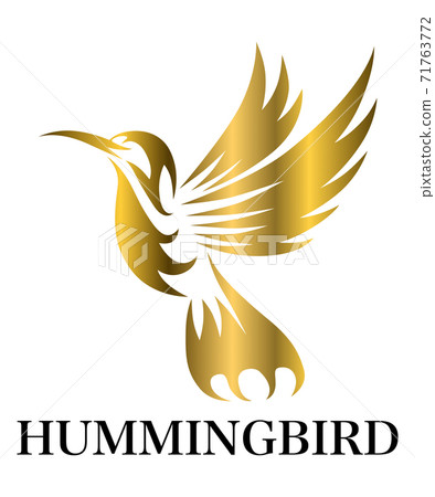 167+ Hummingbird Logo Designs for 2024 - MasterBundles