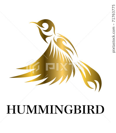bird, hummingbird, logo 71763775