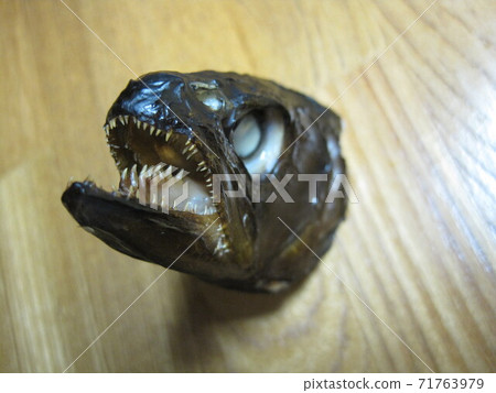 熏制山梅的頭 71763979